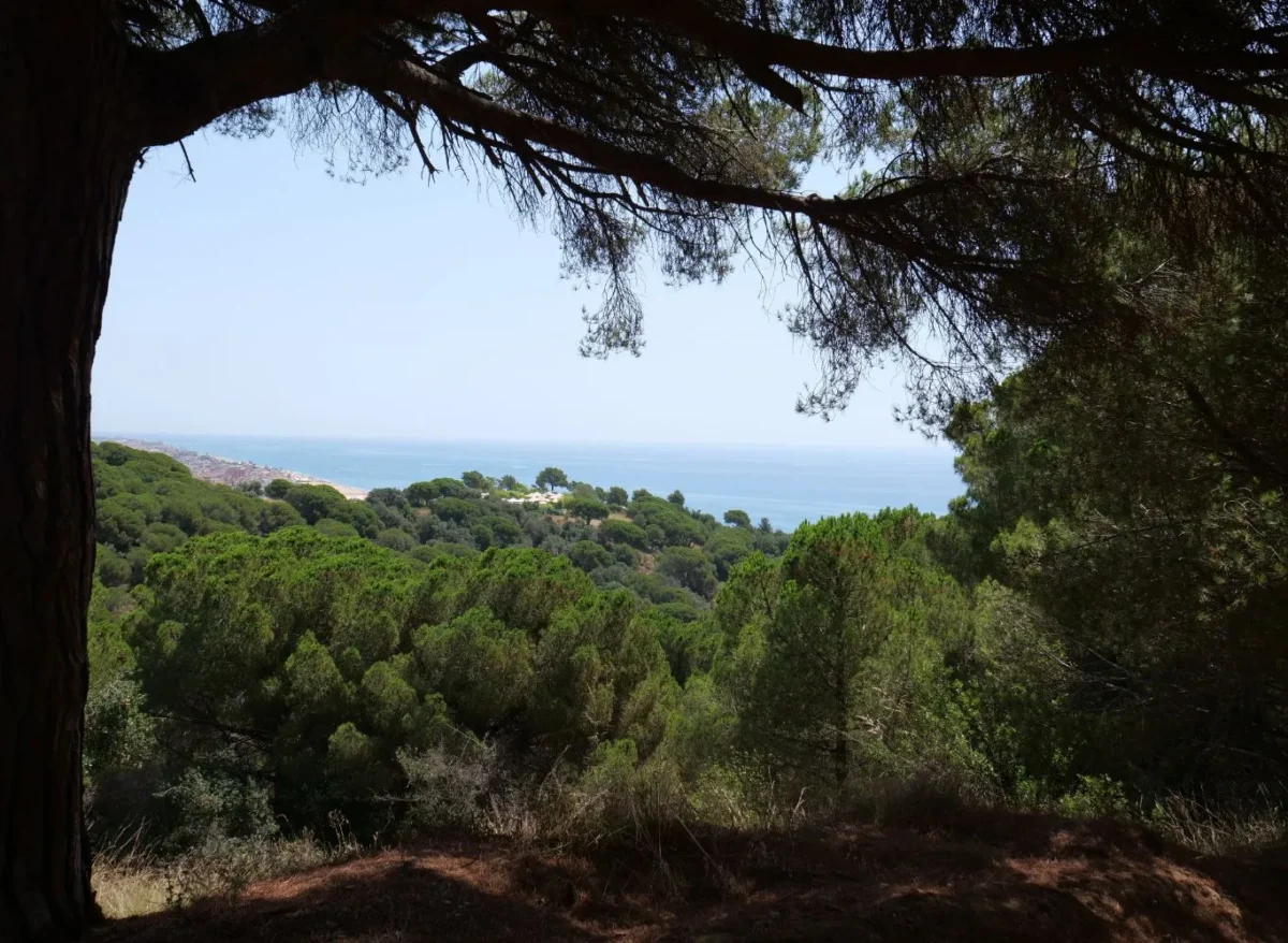 rutas-senderismo-calella