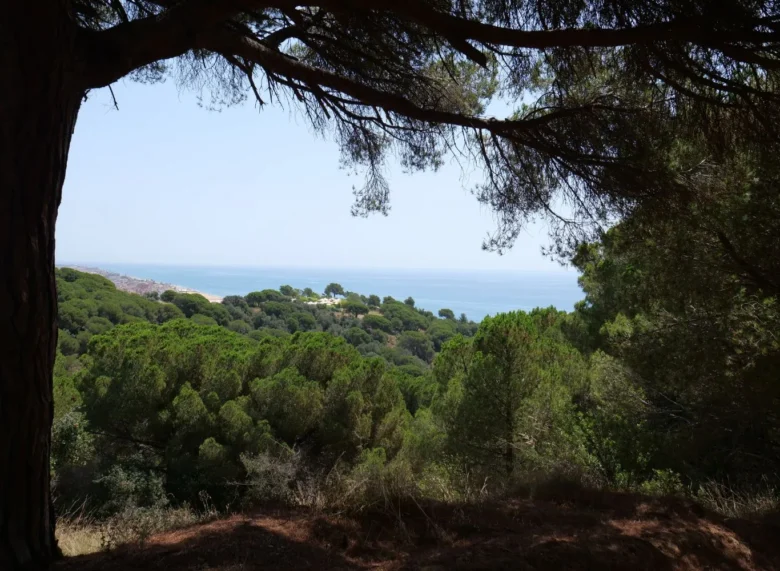 rutas-senderismo-calella