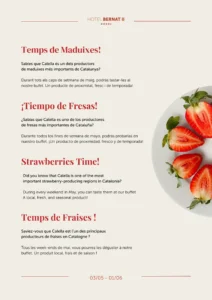 fresas-en-calella
