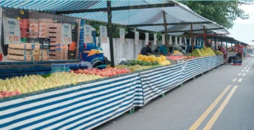 Märkte in Calella und Umgebung